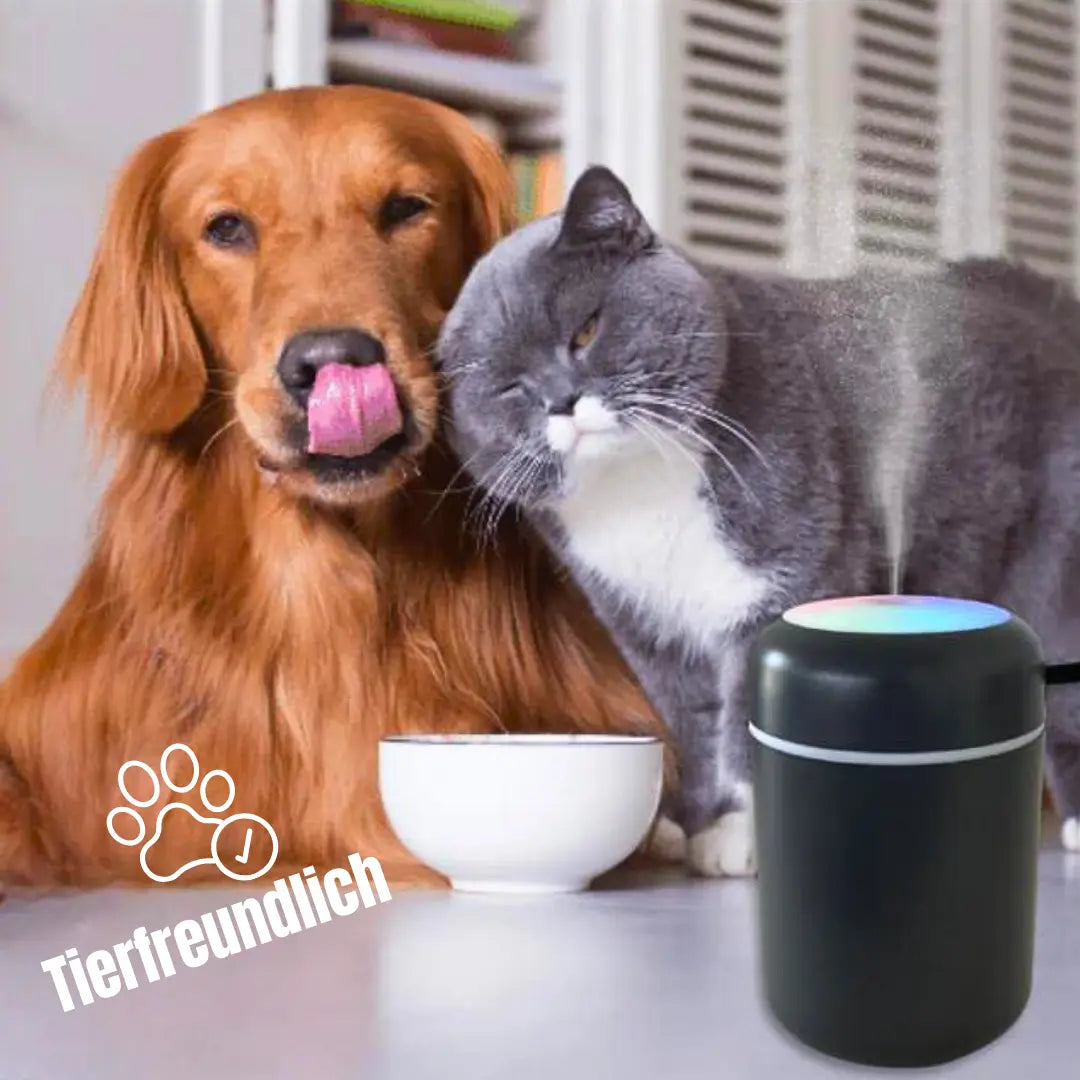 Airfresh - Der perfekte PetNeutralizer-0-Dalson-Dalson.ch