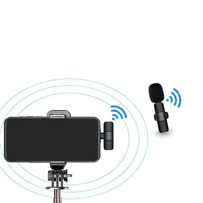 Mini Mic ( 2 Stück)-0-Dalson-Dalson.ch