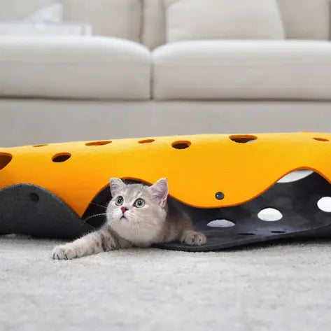 CatTube-0-Dalson-Dalson.ch