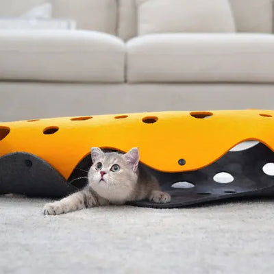 CatTube-0-Dalson-Dalson.ch