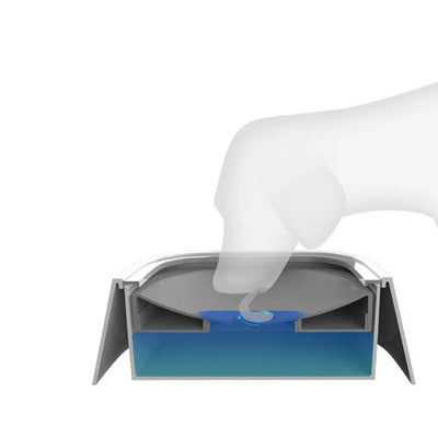 Clean Pet - Anti Spritzwasser Napf-0-Dalson-Dalson.ch