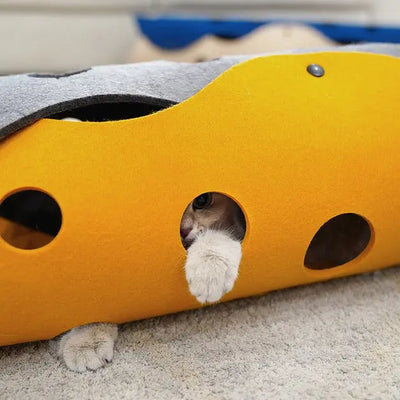 CatTube-0-Dalson-Dalson.ch