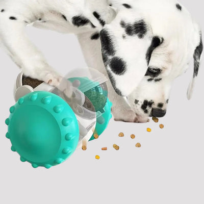 DogRobo - Hunde lieben Ihn-Dalson-Dalson.ch