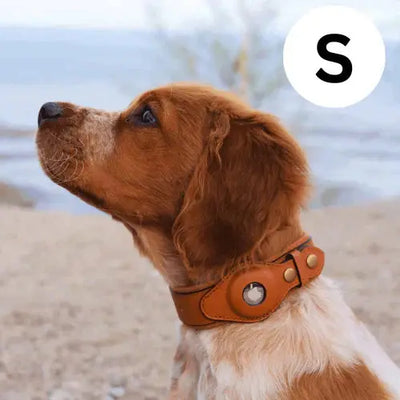 AirTrack Hundehalsband - Weltweit ohne Abonnement!-0-Dalson-Dalson.ch