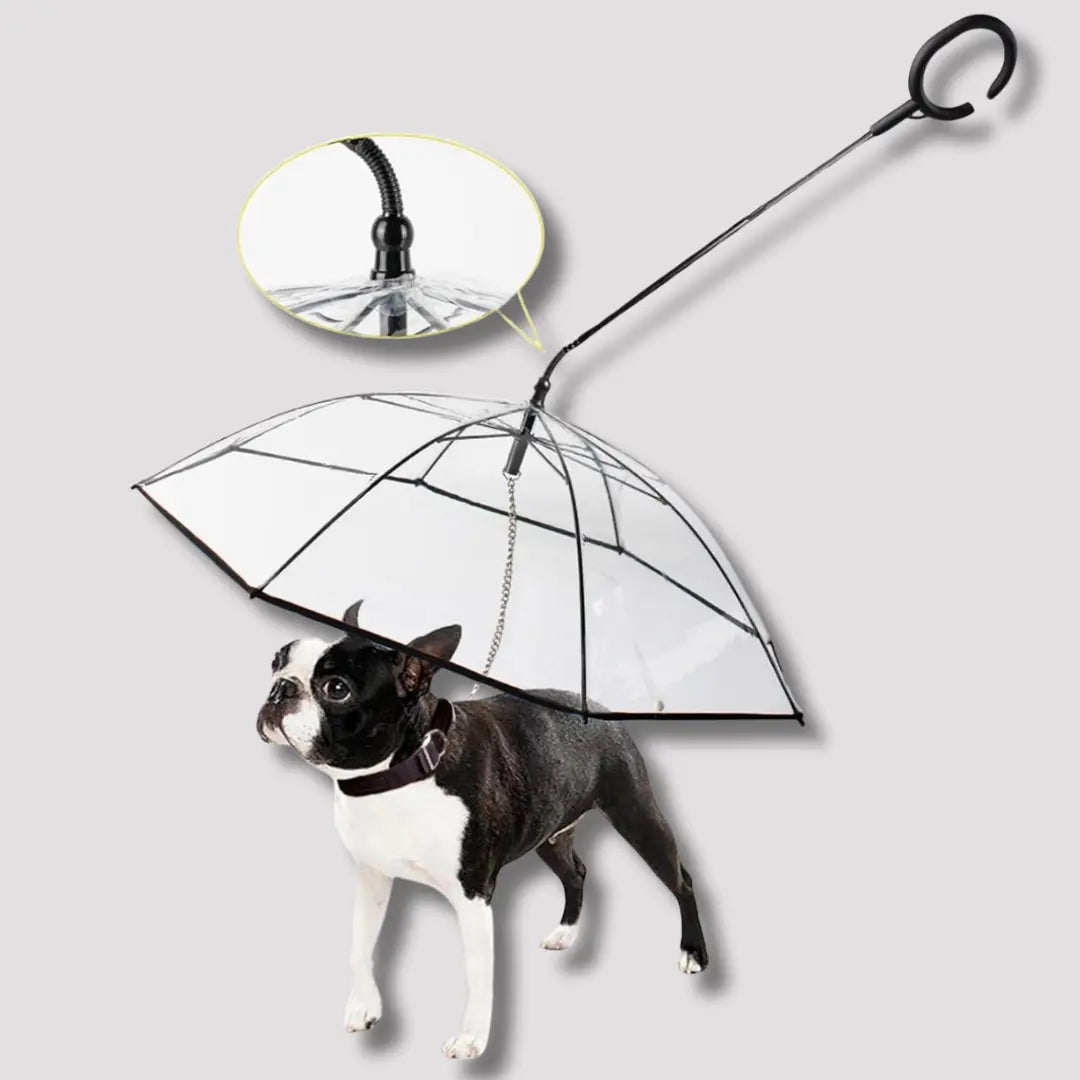 RainyDog - Der Regenschirm für Hunde-Dalson-Dalson.ch