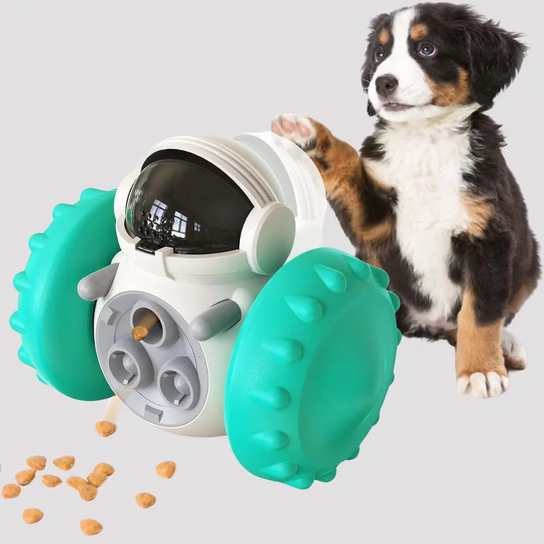 DogRobo - Hunde lieben Ihn-Dalson-Dalson.ch