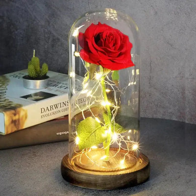 LoveRose - Für die Unendlichkeit-Dalson-Rot-Dalson.ch
