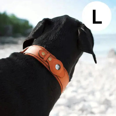 AirTrack Hundehalsband - Weltweit ohne Abonnement!-0-Dalson-Dalson.ch