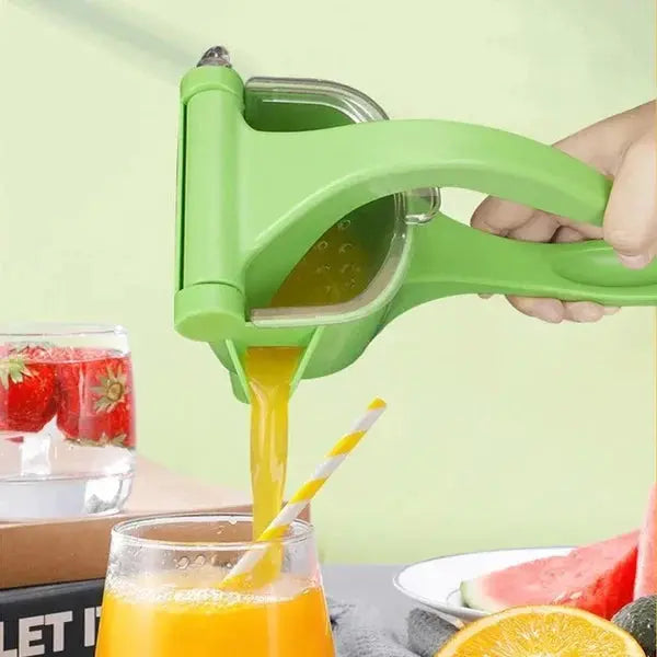 Fruito - Frische Säfte leicht gemacht-Dalson-Dalson.ch