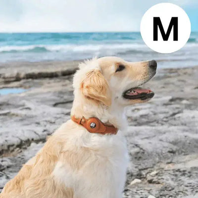 AirTrack Hundehalsband - Weltweit ohne Abonnement!-0-Dalson-Dalson.ch
