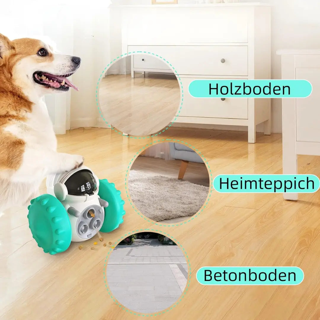 DogRobo - Hunde lieben Ihn-Dalson-Dalson.ch