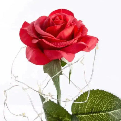 LoveRose - Für die Unendlichkeit-Dalson-Dalson.ch