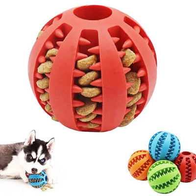 HealthyBall - Mehr Beschäftigung & Gesundheit-Dalson-Dalson.ch