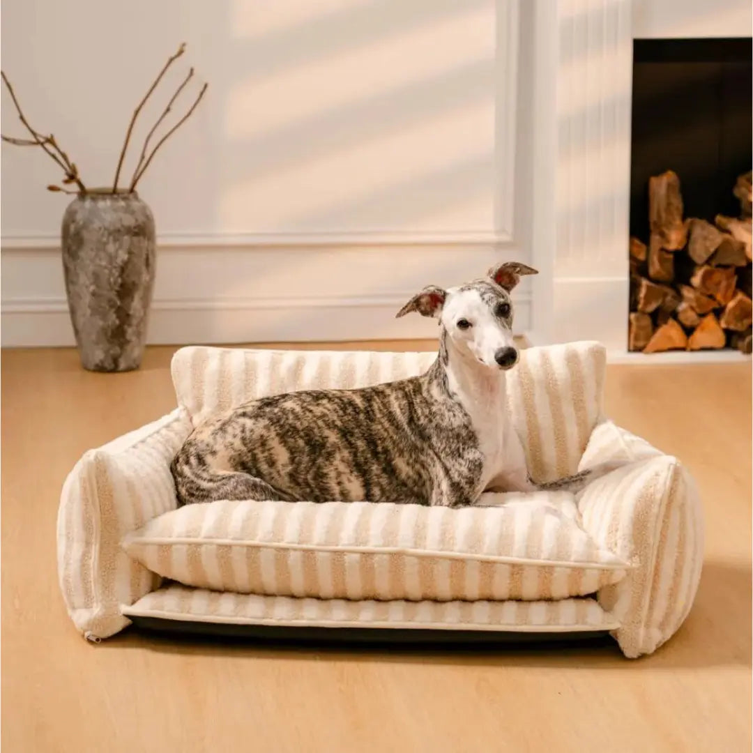 DoggyDream - Das Sofa für deinen Liebling-Dalson-Dalson.ch