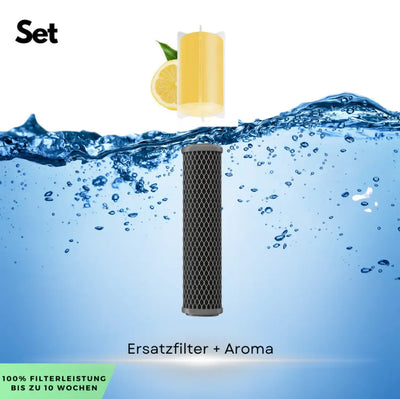 AquaCalm - Handbrausekopf mit Filtersystem-Dalson-Ersatzfilter-Grau-Dalson.ch