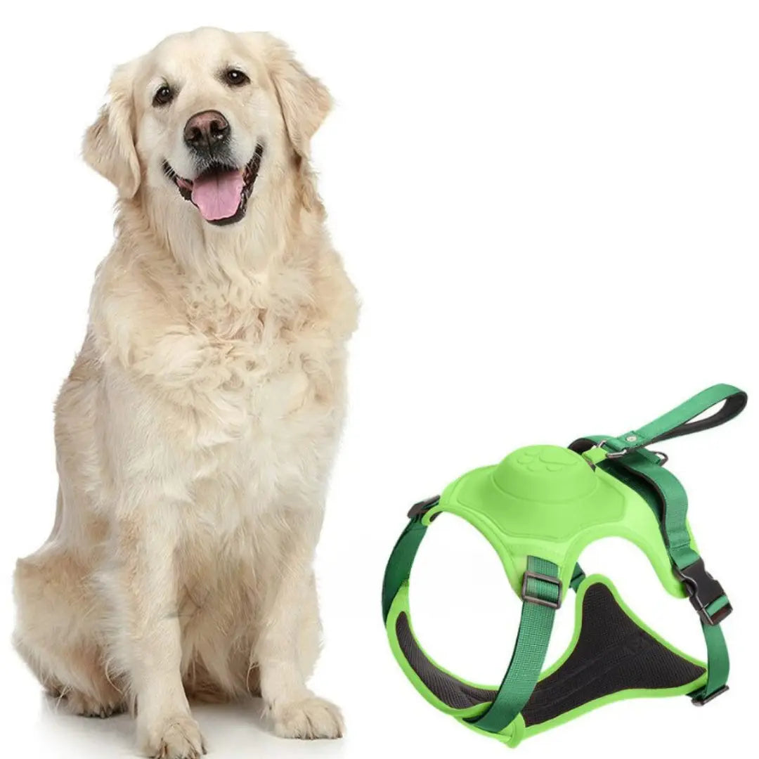 AnyDog - Premium Hundegeschirr-Dalson-Grün (Wenige an Lager)-M (5-10 KG)-Dalson.ch