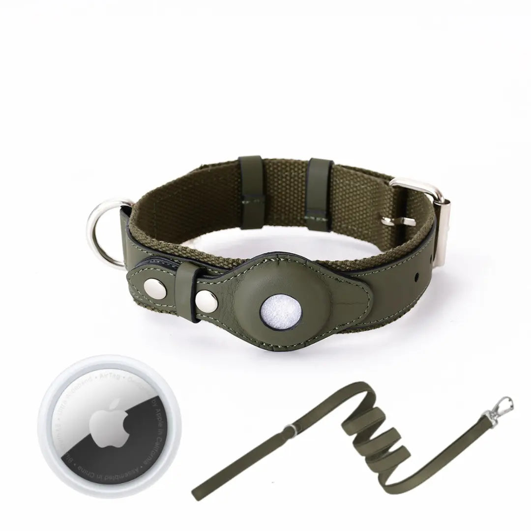 AirTrack Hundehalsband - Weltweit ohne Abonnement!-0-Dalson-Grün-S (24-32cm)-Halsband mit Leine & Tracker-Dalson.ch