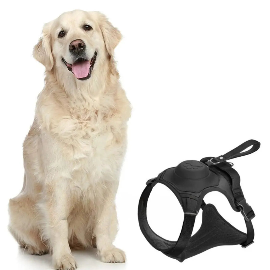 AnyDog - Premium Hundegeschirr-Dalson-Schwarz-M (5-10 KG)-Dalson.ch