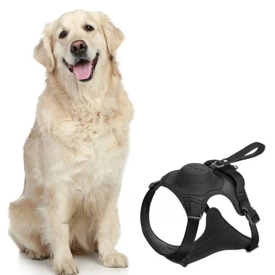 AnyDog - Premium Hundegeschirr-Dalson-Schwarz-M (5-10 KG)-Dalson.ch