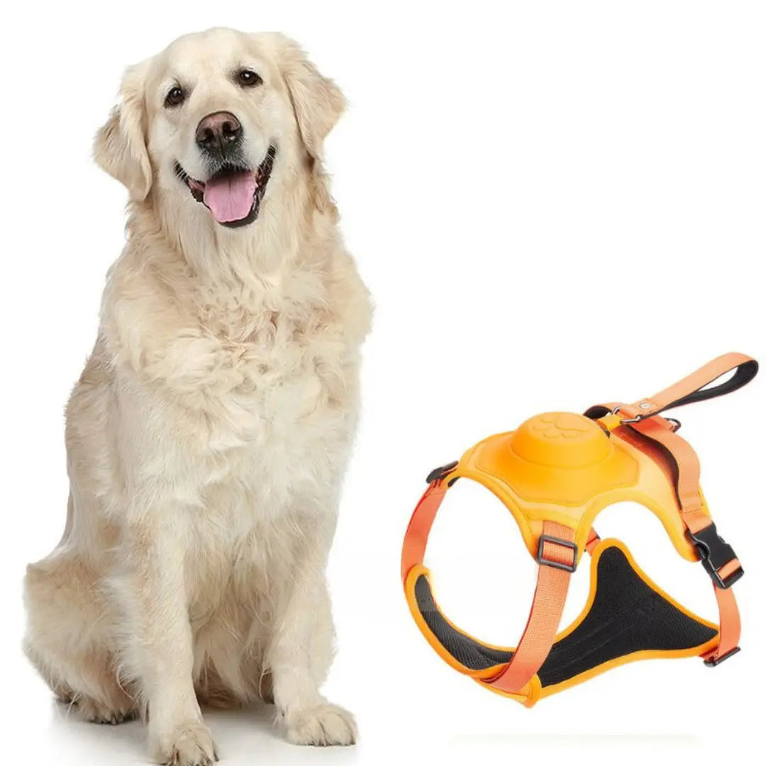 AnyDog - Premium Hundegeschirr-Dalson-Orange-M (5-10 KG)-Dalson.ch