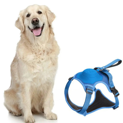 AnyDog - Premium Hundegeschirr-Dalson-Blau-M (5-10 KG)-Dalson.ch