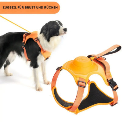 AnyDog - Premium Hundegeschirr-Dalson-Dalson.ch