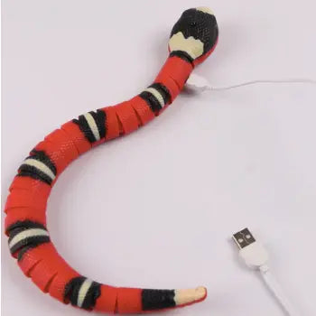 Cat Snake-0-Dalson-Dalson.ch