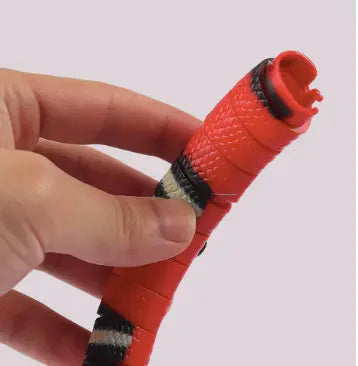 Cat Snake-0-Dalson-Dalson.ch