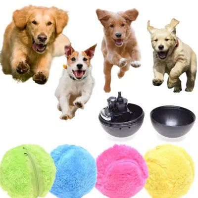 Rolling Active Ball-Dalson-Dalson.ch