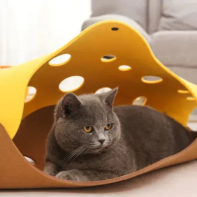 CatTube-0-Dalson-Dalson.ch