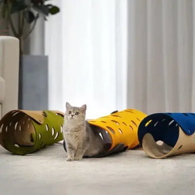 CatTube-0-Dalson-Dalson.ch