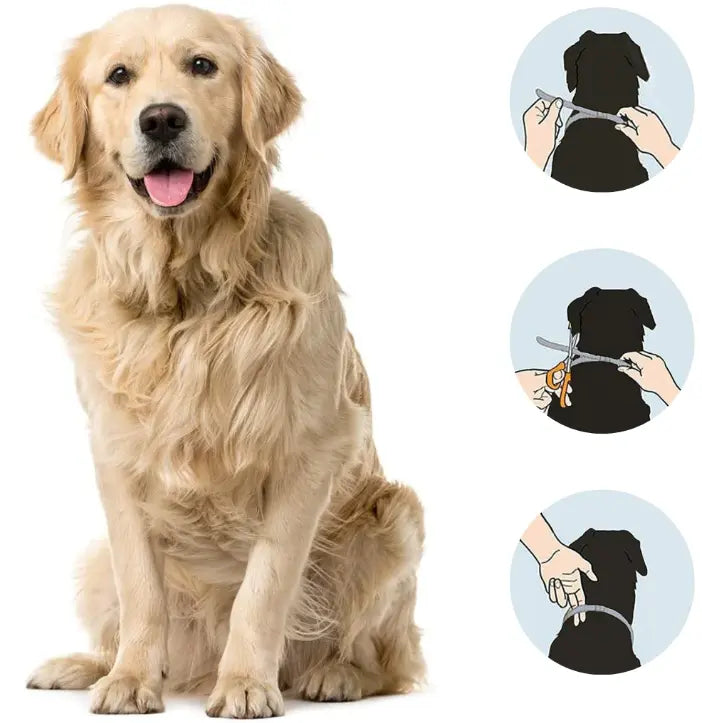 Zeckenlos - Für Hund & Katze-0-Dalson-Dalson.ch