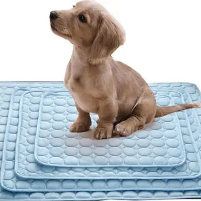 Cool Cat&Dog - Erleichtere deinem Liebling den Sommer-0-Dalson-Dalson.ch