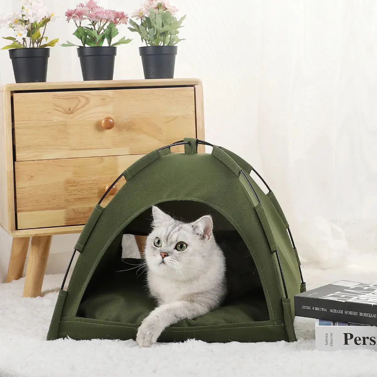 CatHome - Der Lieblingsplatz deiner Katze-Dalson-Grün-S 35x35cm-Dalson.ch