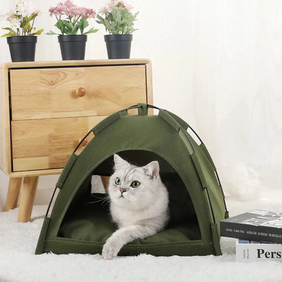 CatHome - Der Lieblingsplatz deiner Katze-Dalson-Grün-S 35x35cm-Dalson.ch