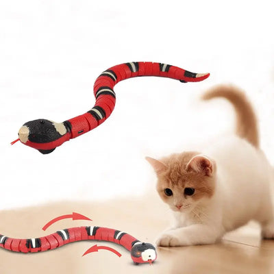Cat Snake-0-Dalson-Dalson.ch