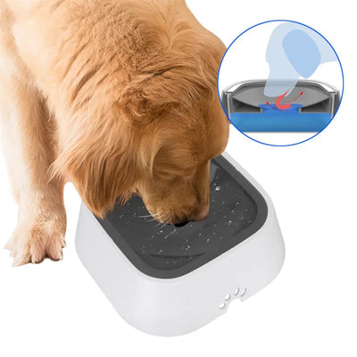 Clean Pet - Anti Spritzwasser Napf-0-Dalson-Dalson.ch