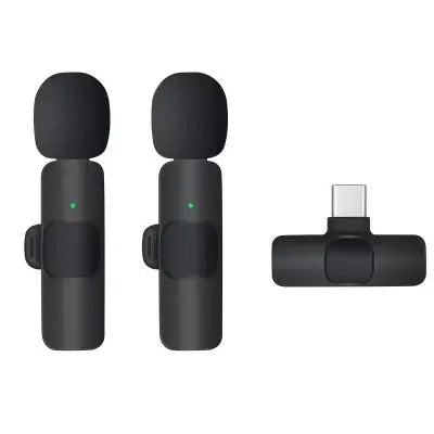 Mini Mic ( 2 Stück)-0-Dalson-Android / TypeC-Dalson.ch