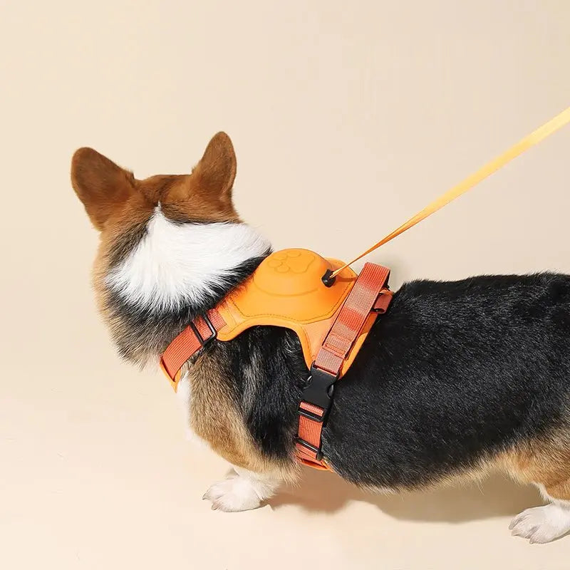 AnyDog - Premium Hundegeschirr-Dalson-Dalson.ch