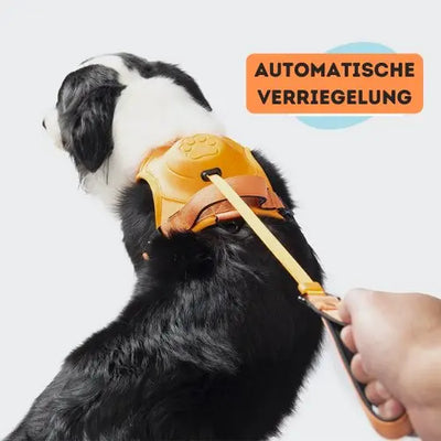 AnyDog - Premium Hundegeschirr-Dalson-Dalson.ch